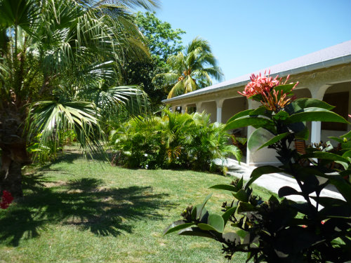 Gite in Sainte Anne - Vacation, holiday rental ad # 56840 Picture #5 thumbnail