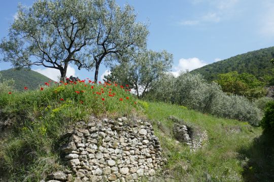 Casa rural en Valras - Detalles sobre el alquiler n56859 Foto n16