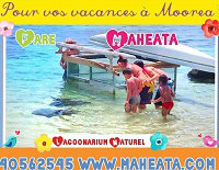 Gite  Moorea pour  3 •   3 toiles 