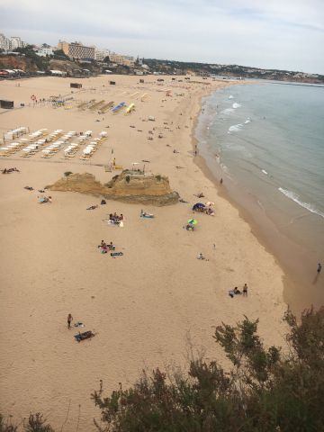 Flat in Portimao Portugal - Vacation, holiday rental ad # 57138 Picture #6