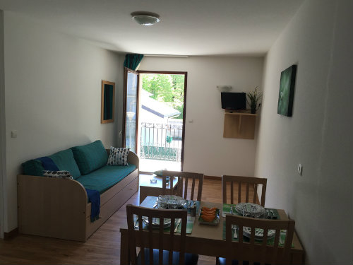 Appartement  Bagneres de luchon pour  4 •   jardin 