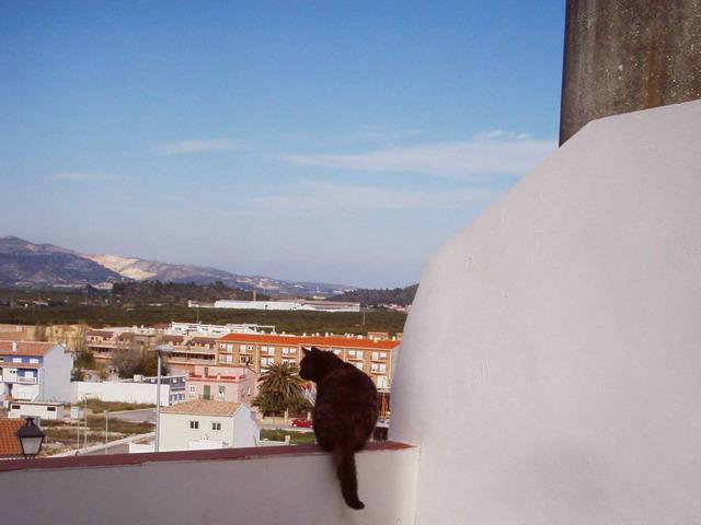 Appartement  Gandia pour  5 •   avec terrasse 