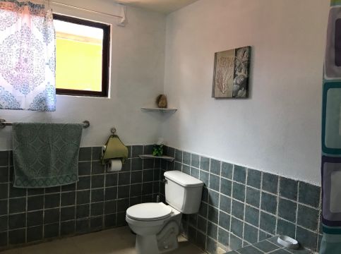 House in Villarreal - Vacation, holiday rental ad # 57584 Picture #16