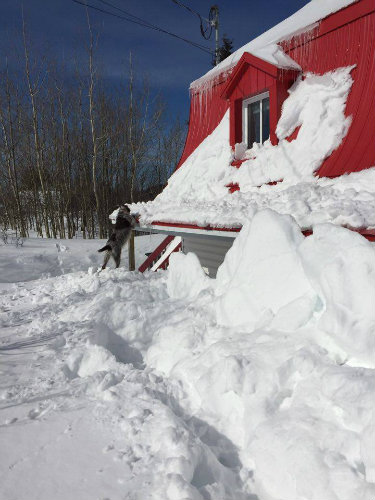 Chalet in St-tite-des-caps for   9 •   with terrace 