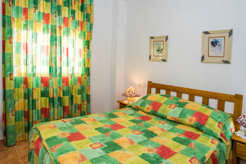 Appartement in Torrevieja - Vakantie verhuur advertentie no 58281 Foto no 16 thumbnail