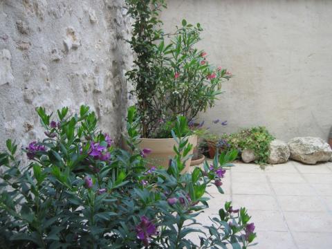 House in Leucate - Vacation, holiday rental ad # 58356 Picture #2 thumbnail