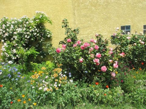 Casa rural en Salon de Provence - Detalles sobre el alquiler n58941 Foto n5