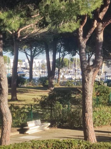Studio � Port camargue - Location vacances, location saisonni�re n�59060 Photo n�7