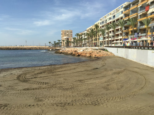 Flat in Torrevieja- costa blanca - Vacation, holiday rental ad # 59282 Picture #14 thumbnail