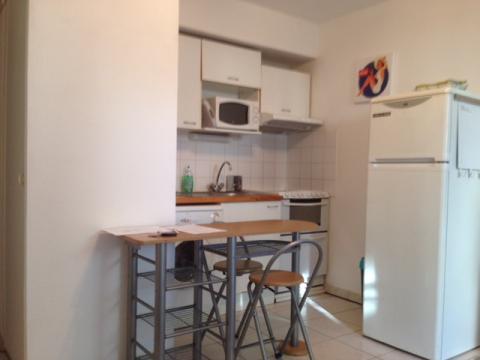 Studio in Toulouse  - Vacation, holiday rental ad # 59432 Picture #1 thumbnail