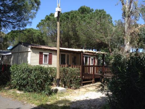 Agde -    2 Schlafzimmer 