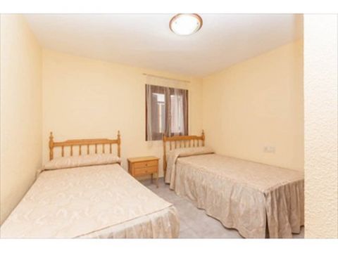 Apartamento en Orihuela - Detalles sobre el alquiler n59971 Foto n12