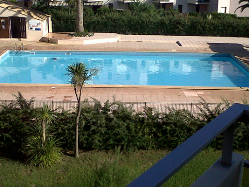 Appartement à St cyprien plage - Location vacances, location saisonnière n°59985 Photo n°1