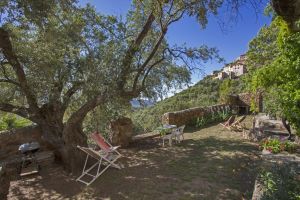 Appartement  Belgodre pour  4 •   avec terrasse 