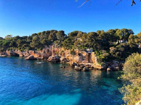 Studio  Antibes Juan les Pins - Location vacances, location saisonnire n60324 Photo n17