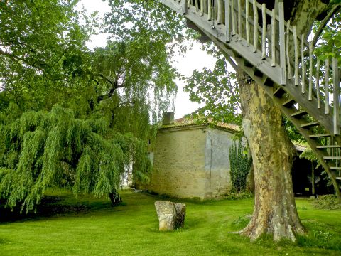 Casa en Rauzan - Detalles sobre el alquiler n60363 Foto n17