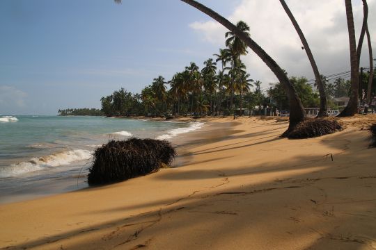 Casa en Las Terrenas - Detalles sobre el alquiler n60820 Foto n1