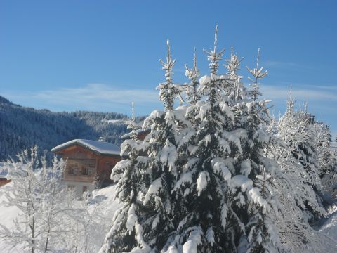 Chalet  Les gets - Location vacances, location saisonnire n60951 Photo n0