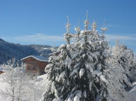 Chalet  Les gets pour  5 •   jardin 