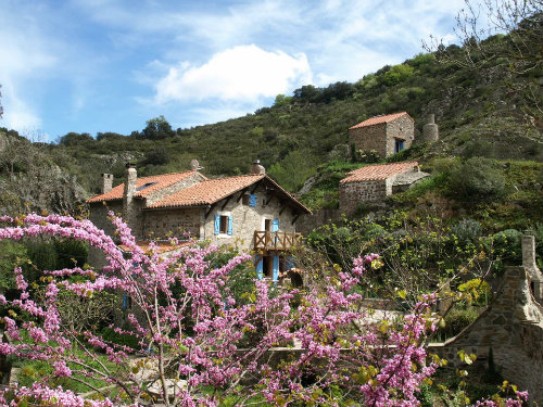 Gite in Vlieux fr  4 •   mit Schwimmbad auf Komplex 