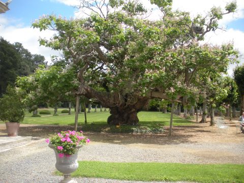 Maison  St. Bomer les forges, Frankrijk - Location vacances, location saisonnire n61372 Photo n3