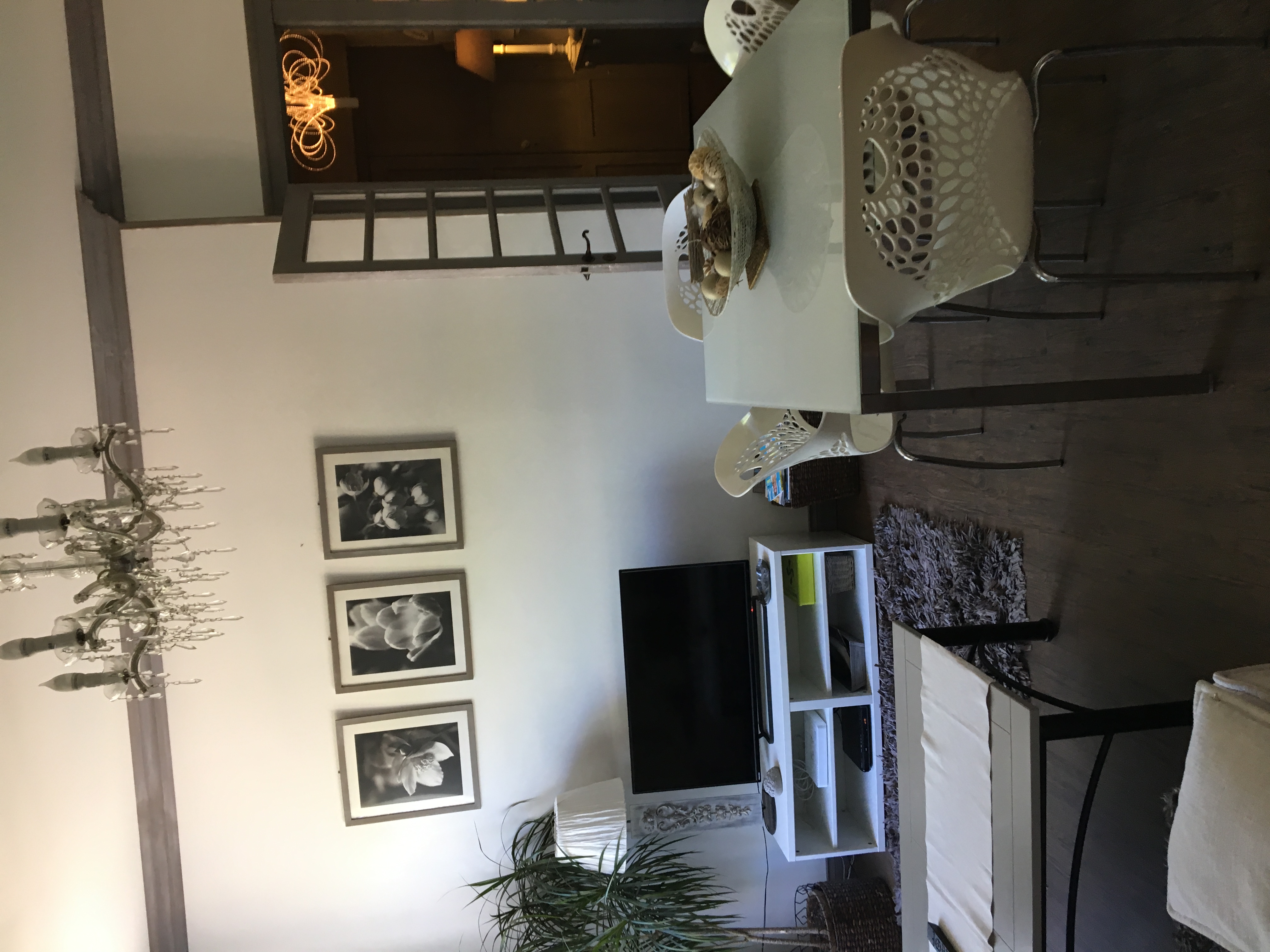 Appartement  Biarritz pour  4 •   animaux accepts (chien, chat...) 