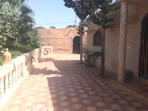  à Agadir - Location vacances, location saisonnière n°61913 Photo n°5 thumbnail