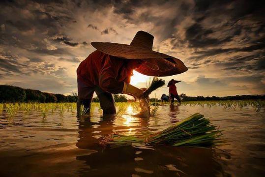 Au cur de bangkok  -  La Thalande Authentique  Vivre avec les Thais 