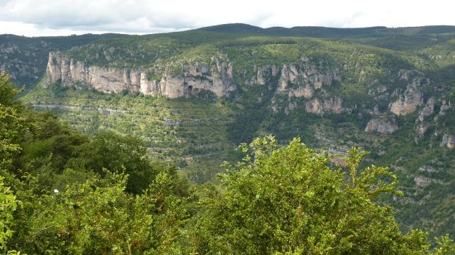 Gite � La couvertoirade - Location vacances, location saisonni�re n�62183 Photo n�17