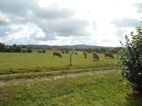 Casa rural en Les herbiers - Detalles sobre el alquiler n62301 Foto n6