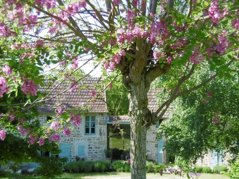 Ferme  Castanet - Location vacances, location saisonnire n62316 Photo n13