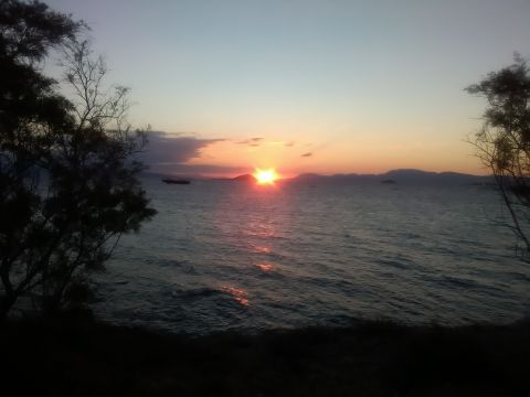 Chalet  Aegina - Location vacances, location saisonnire n62339 Photo n3