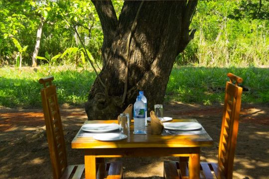 Casa en Sigiriya - Detalles sobre el alquiler n62388 Foto n13