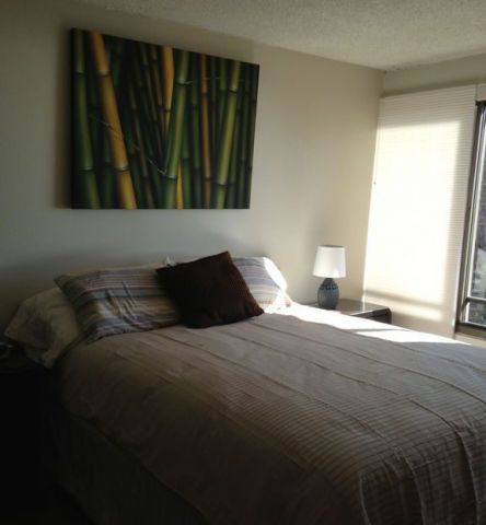 in Waikiki - Vacation, holiday rental ad # 62418 Picture #6