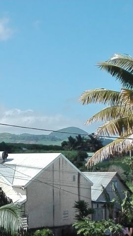 House in Ravine des Cabris - Vacation, holiday rental ad # 62421 Picture #3