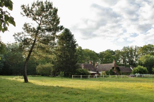 Casa rural en Amboise - Detalles sobre el alquiler n62439 Foto n6