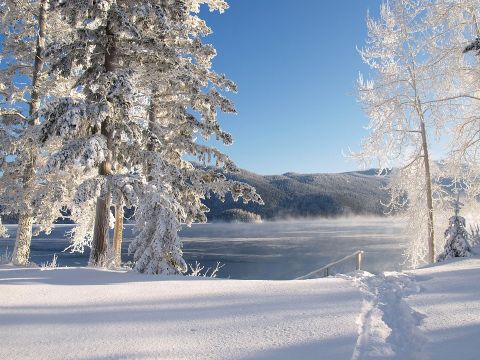 Alppimaja (miss) Bois de Champ - Ilmoituksen yksityiskohdat:62471 Kuva nro5