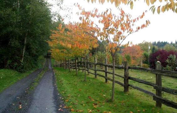 Ferme  Hansville - Location vacances, location saisonnire n62647 Photo n10