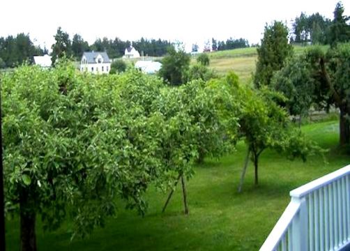 Farm in Hansville - Vacation, holiday rental ad # 62647 Picture #19