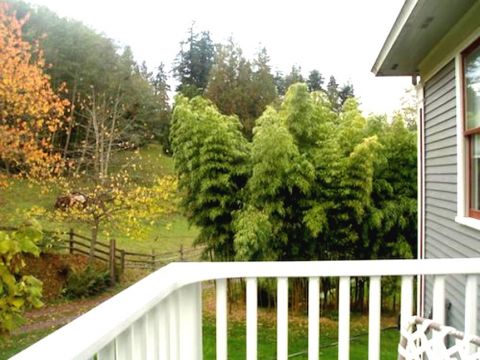 Farm in Hansville - Vacation, holiday rental ad # 62647 Picture #8