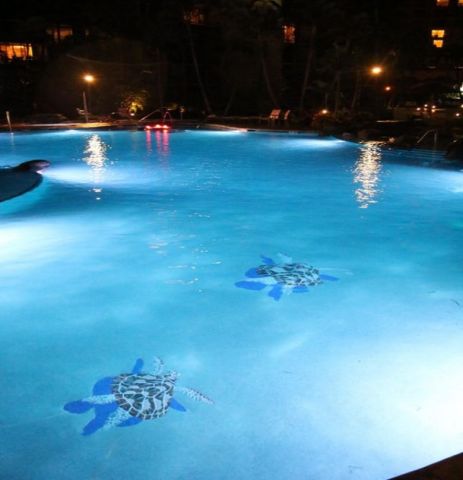   Kaanapali - Location vacances, location saisonnire n62796 Photo n4
