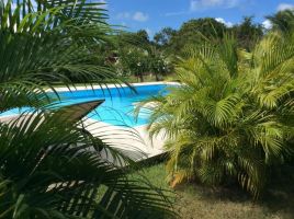 Gite Anse Bertrand - 4 personnes - location vacances
