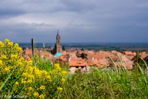 Gite in Dambach la ville voor  2 •   tuin 