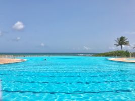 Apt vue mer,piscine,plage