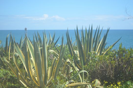 Casa en Praia da Luz - Detalles sobre el alquiler n63023 Foto n1