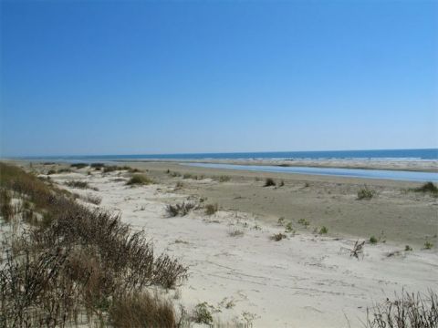 � Sullivan's Island - Location vacances, location saisonni�re n�63028 Photo n�7