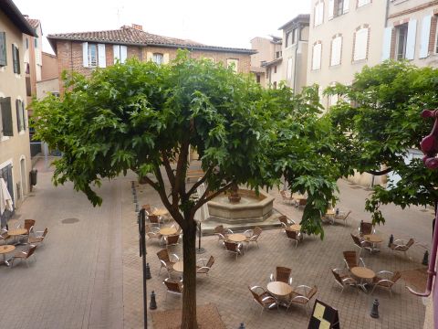 Gite in Albi - Vacation, holiday rental ad # 63062 Picture #4