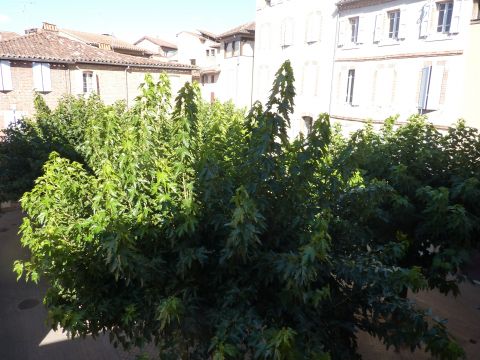 Gite in Albi - Vacation, holiday rental ad # 63062 Picture #6