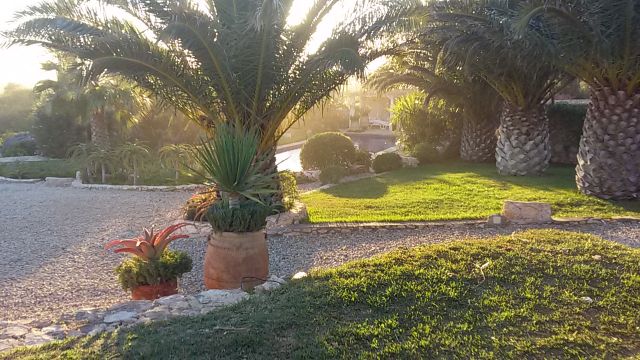 Casa en Essaouira - Detalles sobre el alquiler n63092 Foto n3