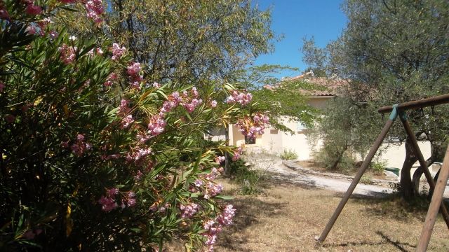 House in Nimes - Vacation, holiday rental ad # 63146 Picture #1